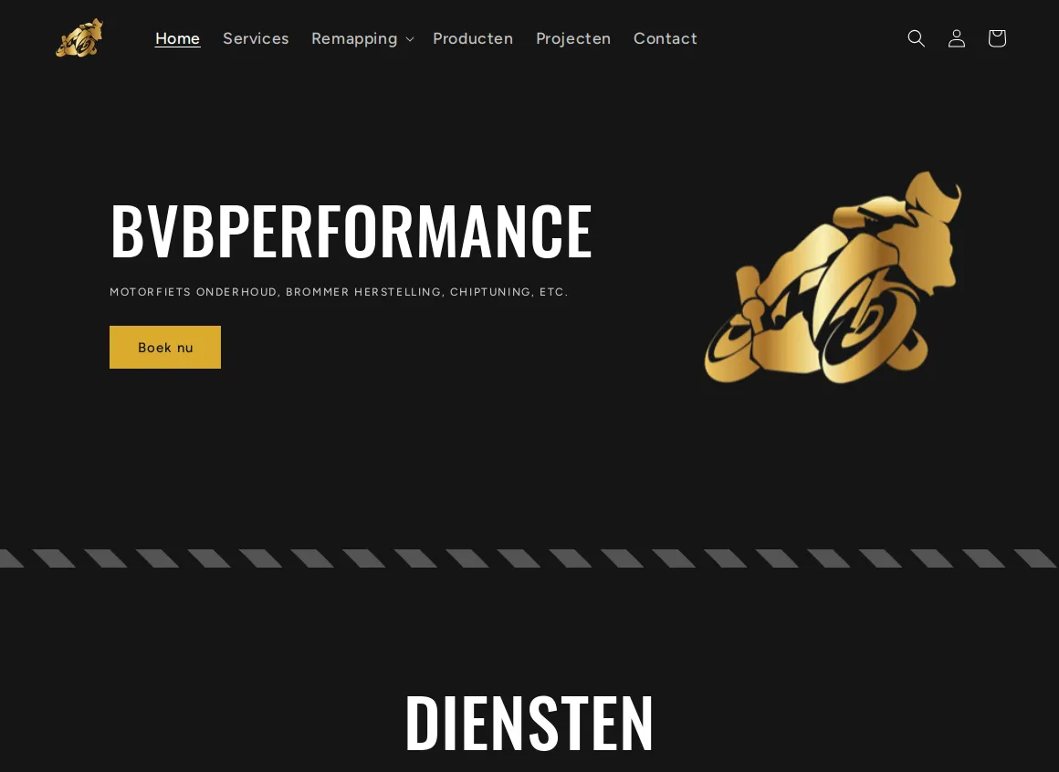 BvbPerformance Website