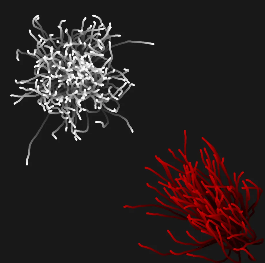 P5.js